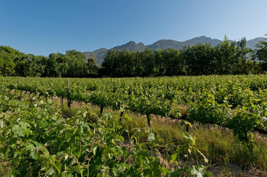 La Galiniere Guest Cottages Franschhoek Dış mekan fotoğraf