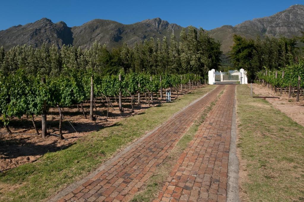 La Galiniere Guest Cottages Franschhoek Dış mekan fotoğraf