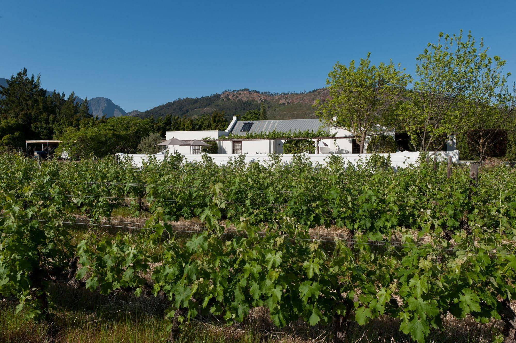 La Galiniere Guest Cottages Franschhoek Dış mekan fotoğraf